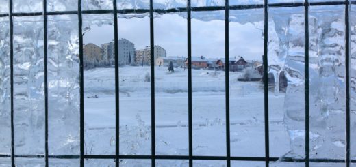 Grillage rigide qui résiste parfaitement au froid et au vent