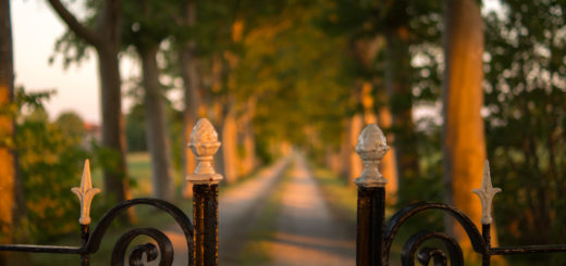 Barrière en fer forgée à l'entrée d'un chemin
