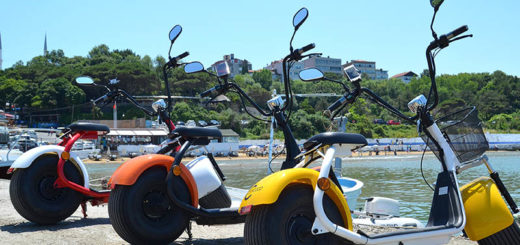 Scooter électrique citycoco différentes couleurs
