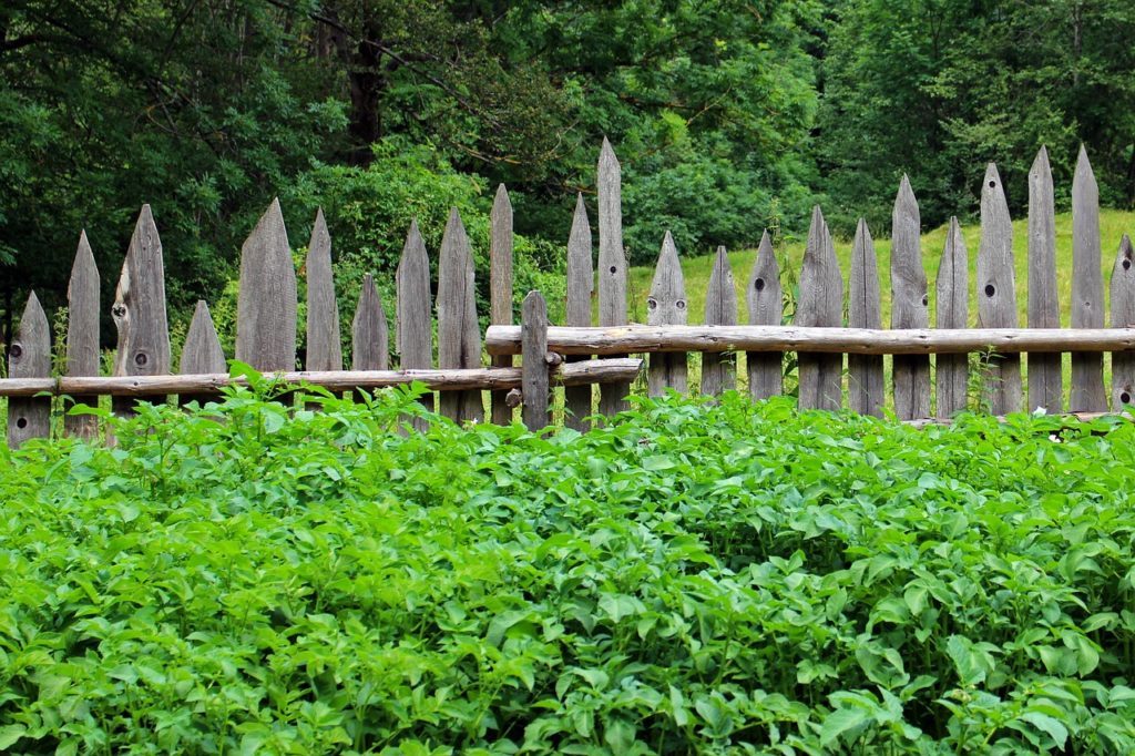 Clôture de jardin cote-cloture