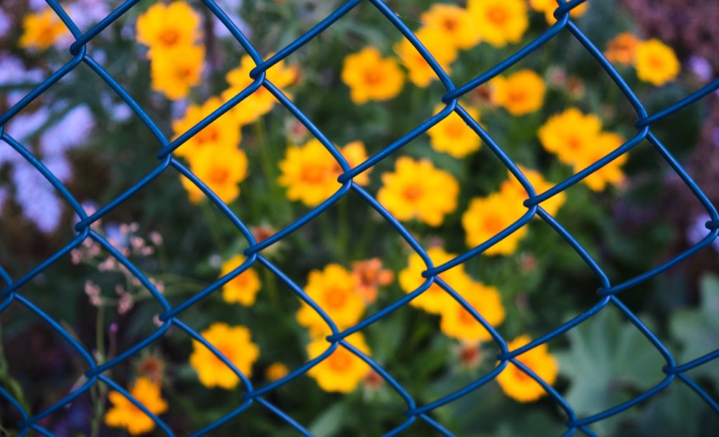 Cloture de jardin - cote cloture